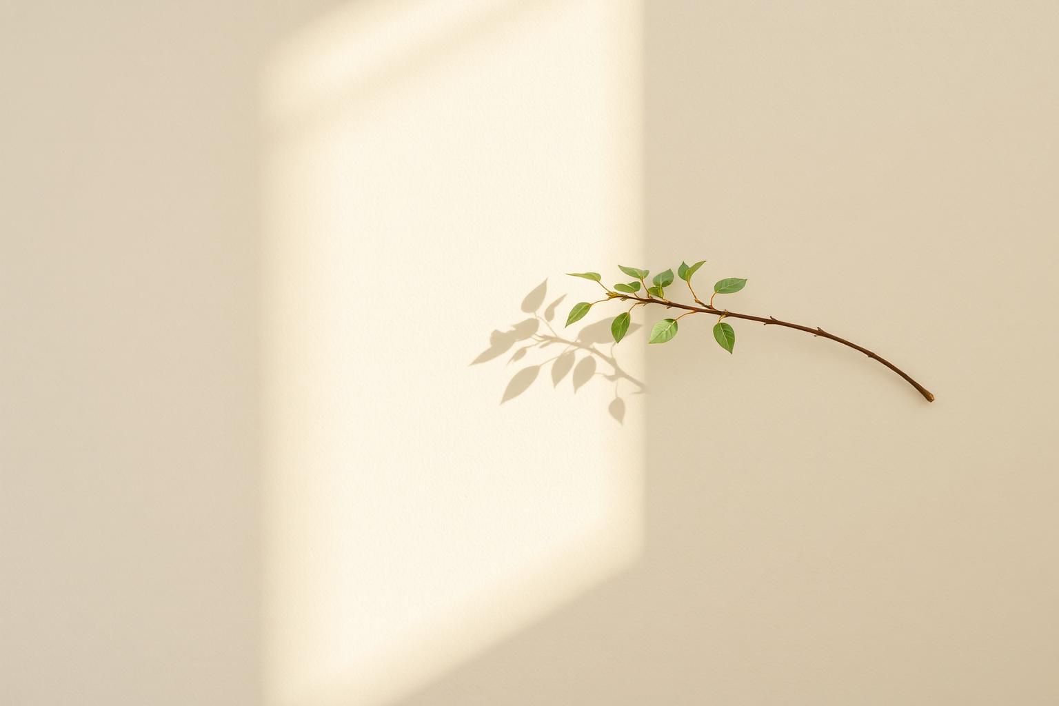 Galho minimalista com folhas verdes e sombra suave em parede creme